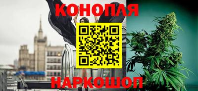 стафф Можга