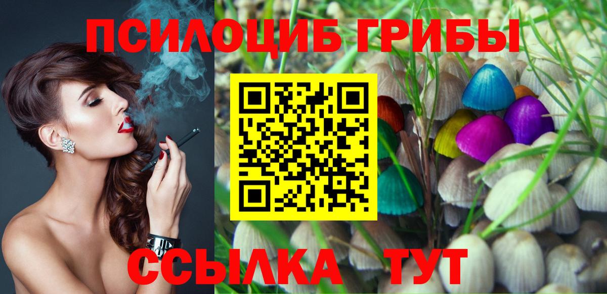 Псилоцибиновые грибы Psilocybine cubensis Учалы